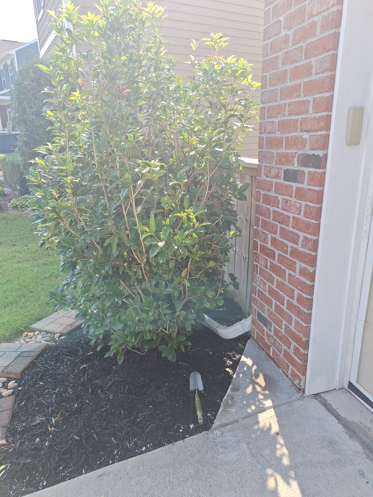 Slide of 1 Team 1 House