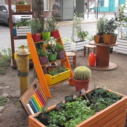 Arte Cultivos - Plantas y Flores de Arte Cultivos