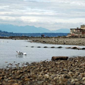 Charles Richey Sr Viewpoint - Parks Near Me - Seattle, Washington