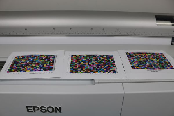 Wilson Picture Frames