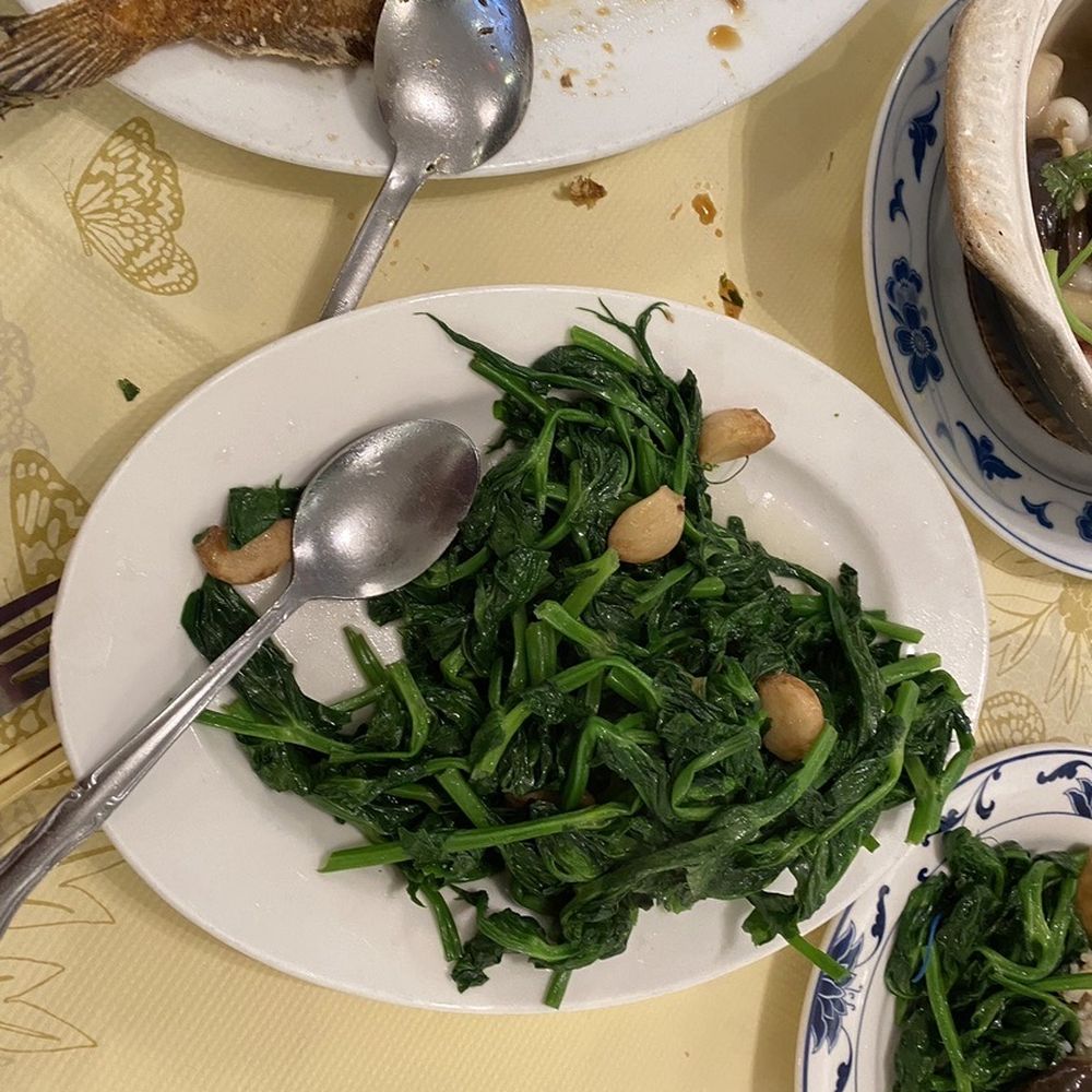 Queens Seafood Restaurant - Stirred fried snow pea tips - Seafood Near Me - Elmhurst, New York Queens Seafood Restaurant - Stirred fried snow pea tips - Seafood Near Me - Elmhurst, New York