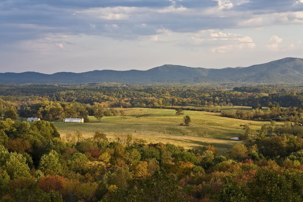 MARTLET PROPERTIES Updated September 2024 250 W Main St