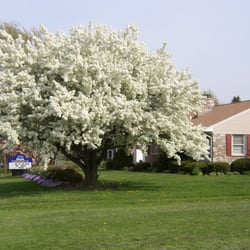 Swank Chiropractic - Spring At Swank Chiropractic
