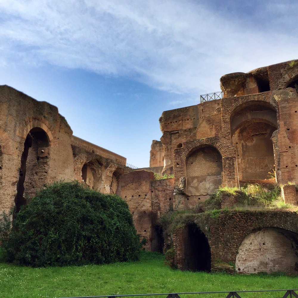 Colosseo - Local Flavor Near Me - Rome, RM