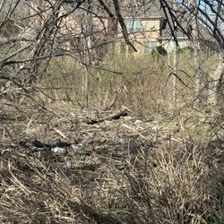 The Trails of Frisco Golf Club - More trash