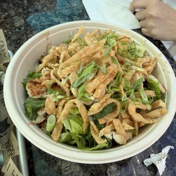 Happy Cat Eats - Chinese Chicken Salad - Burgers Near Me - Santa Barbara, California