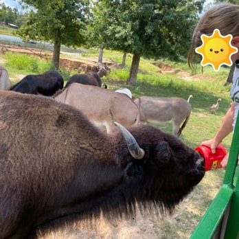 Rockn Rowdy Ranch - Covered Wagon Morning Feed - Vacation Rentals Near Me - Centerville, Texas