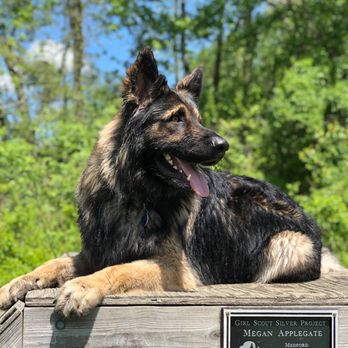 Freedom Barks Dog Park - my model pup - Dog Parks Near Me - Medford, New Jersey