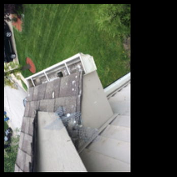 Critter Removal Indianapolis - Squirrel Exclusion and Removal - Pest Control Near Me - Indianapolis, Indiana Critter Removal Indianapolis - Squirrel Exclusion and Removal - Pest Control Near Me - Indianapolis, Indiana