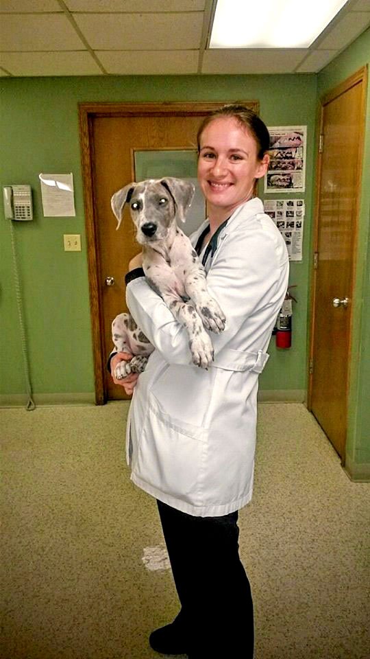 SOUTH MILL VETERINARY CLINIC Updated August 2024 11 Photos 8105