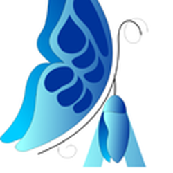 A New You Health & Wellness -The Woodlands - A New You Health & Wellness