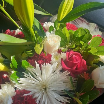 Daily Fresh Rose Shop - Variety flowers. - Florists Near Me - Oakland, California Daily Fresh Rose Shop - Variety flowers. - Florists Near Me - Oakland, California