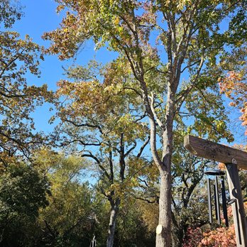 Image Tree Service - All done. - Tree Services Near Me - Windsor, California