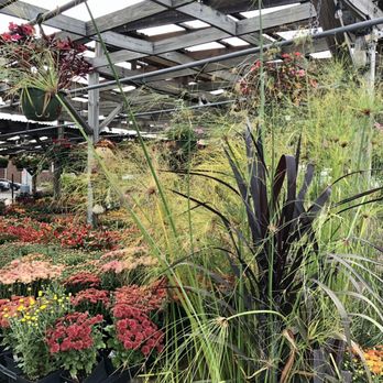 Greenstreet Gardens - October 2021 - Nurseries & Gardening Near Me - Alexandria, Virginia