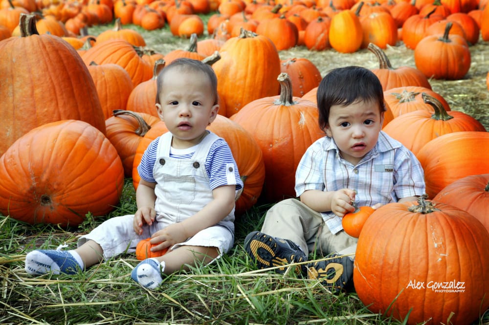 ALEX GONZALEZ PHOTOGRAPHY Rockville, Maryland Session Photography