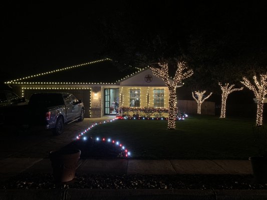 Tree Wrapping - No job too big or small.  Call today for a quote!