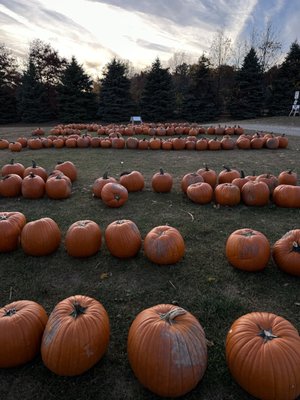 ERIE ORCHARDS & CIDER MILL - Updated May 2024 - 36 Photos & 30 Reviews