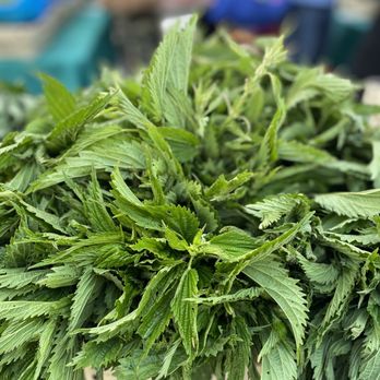 Nettle Kitchen - Nettles at Union Square Farmers' Market - Food Delivery Services Near Me - New York, New York Nettle Kitchen - Nettles at Union Square Farmers' Market - Food Delivery Services Near Me - New York, New York