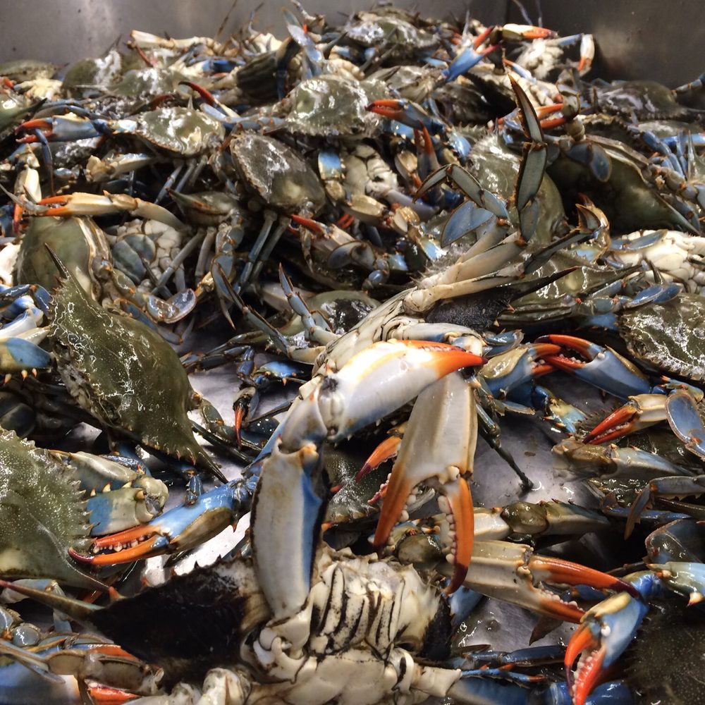 GW Supermarket - Great Wall Supermarket- blue crabs - International Grocery Near Me - Catonsville, Maryland GW Supermarket - Great Wall Supermarket- blue crabs - International Grocery Near Me - Catonsville, Maryland