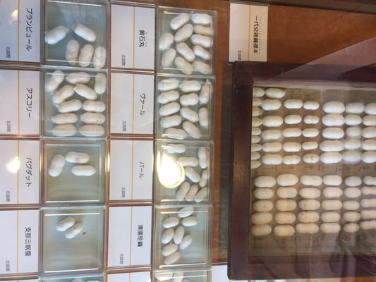 Hokkaido Museum by null