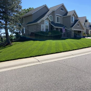 Rose Bug Lawn Care - Lawn Services Near Me Rose Bug Lawn Care - Lawn Services Near Me