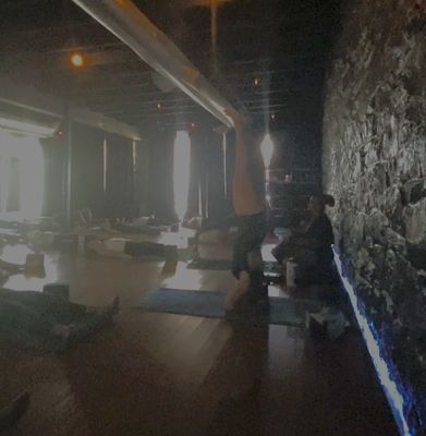 Black Swan Yoga by null