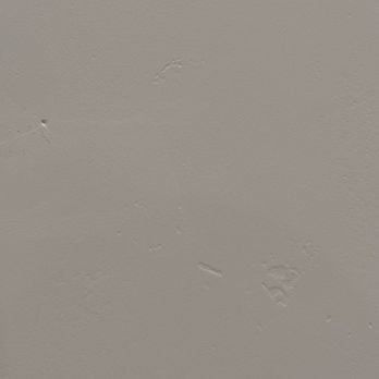 Parrotones - Painters Near Me Parrotones - Painters Near Me