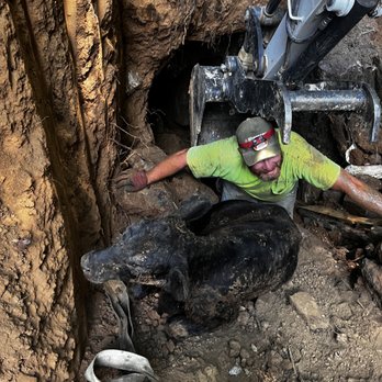 TopNotch Excavating - Calf fell into sink hole. Used excavator to dig a road down to its rescue. - Landscaping Near Me TopNotch Excavating - Calf fell into sink hole. Used excavator to dig a road down to its rescue. - Landscaping Near Me