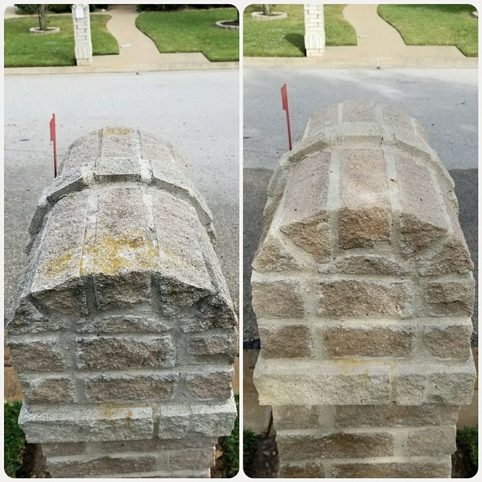 Slide of Wolf's Pro Clean