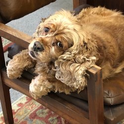World Travel Headquarters - Our agent's faithful assistant
