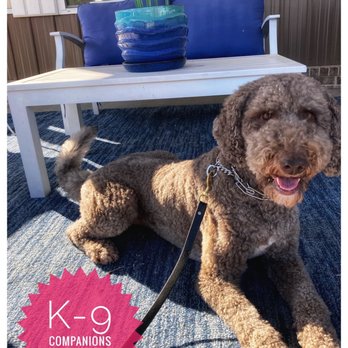 K-9 Companions Dog Training - Pet Training Near Me - Mount Juliet, Tennessee K-9 Companions Dog Training - Pet Training Near Me - Mount Juliet, Tennessee