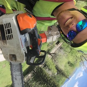 Very Good Tree Service - Tree Services Near Me