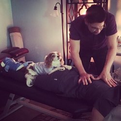 Miami Holistic Chiropractors