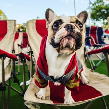 The Great American Tailgate Experience - Party Equipment Rentals Near Me The Great American Tailgate Experience - Party Equipment Rentals Near Me
