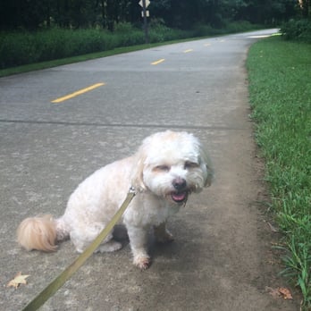 Big Creek Greenway - Molly! - Hiking Near Me