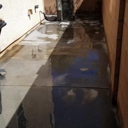 Clean backyard