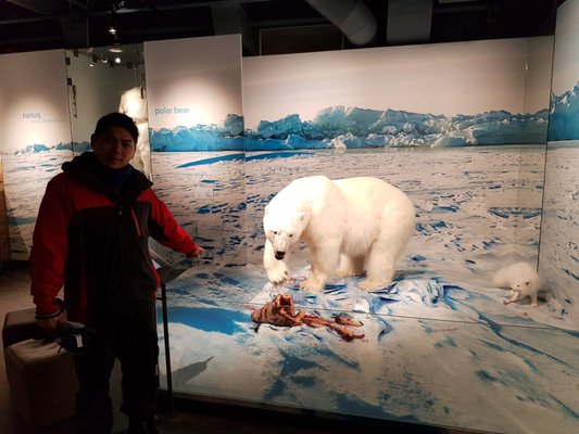 Prince of Wales Northern Heritage Centre by null