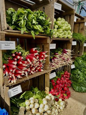 Grand Army Plaza Greenmarket by null