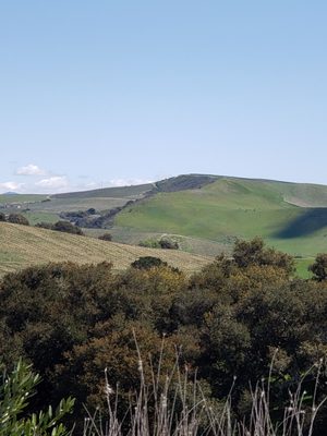 Spear Vineyards and Winery by null