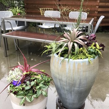 Plant People Northwest - Winter containers - Landscaping Near Me Plant People Northwest - Winter containers - Landscaping Near Me