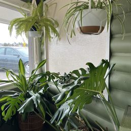 Inside Inside