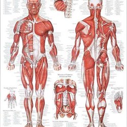 Core Bliss Massage