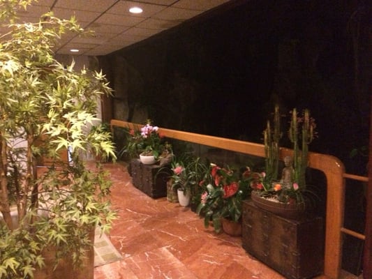 Beverly Hot Springs by null