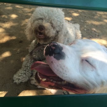 South Hills Dog Park - Lisa & Molly - Dog Parks Near Me - Glendora, California South Hills Dog Park - Lisa & Molly - Dog Parks Near Me - Glendora, California