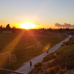 Mustang Fields