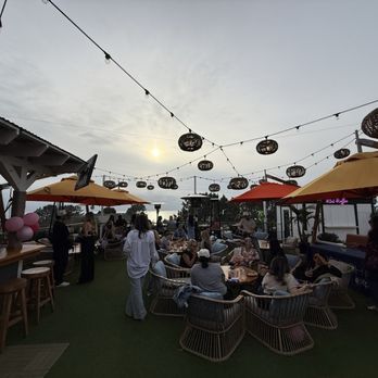 Monarch Ocean Pub - Patio - Gastropubs Near Me - Del Mar, California Monarch Ocean Pub - Patio - Gastropubs Near Me - Del Mar, California