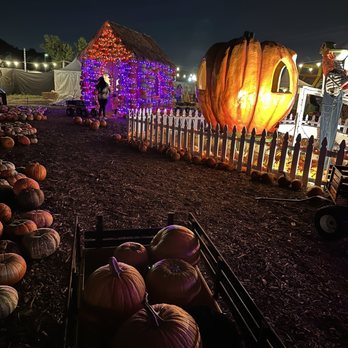 MrBones - Great Atmosphere and super amazing staff Such an enjoyable experience and will be returning - Attraction Farms Near Me - Culver City, California MrBones - Great Atmosphere and super amazing staff Such an enjoyable experience and will be returning - Attraction Farms Near Me - Culver City, California