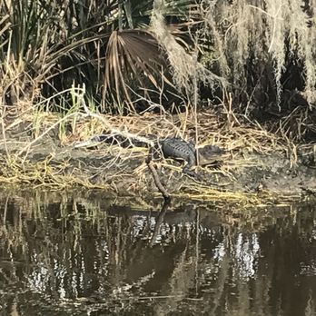 Airboat Adventures - Boat Tours Near Me - Lafitte, Louisiana Airboat Adventures - Boat Tours Near Me - Lafitte, Louisiana