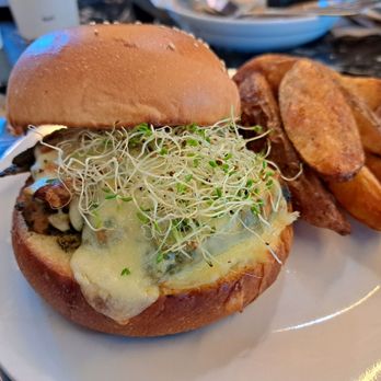 Here Cafe - Chicken Pesto Sandwich - Cafes Near Me - Clarkfield, PAM