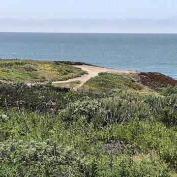 Dunes Beach - Half Moon Bay State Beach - Pathway to cliff at Dunes Beach - Beaches Near Me - Half Moon Bay, California
